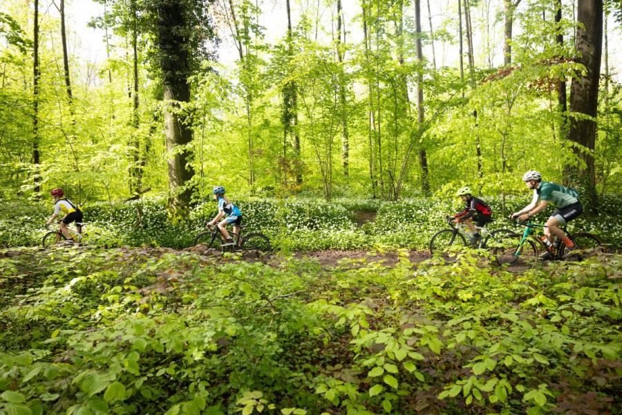 Famille à vélo dans la forêt